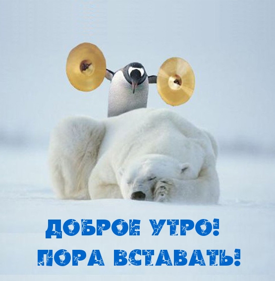 Доброе утро! Пора вставать!