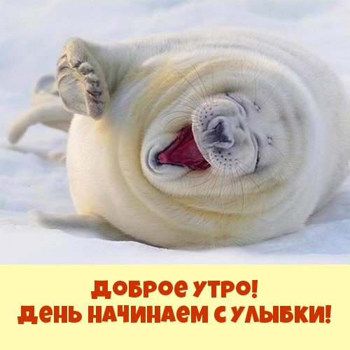 Доброе утро! День начинаем с улыбки!