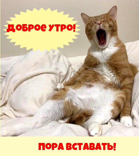Доброе утро! Пора вставать!