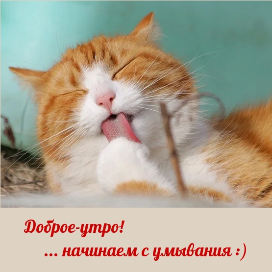 Доброе-утро! … начинаем с умывания :)