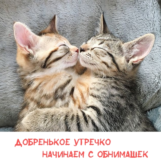 Добренькое утречко начинаем с обнимашек