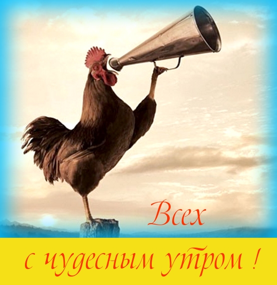 Всех с чудесным утром!