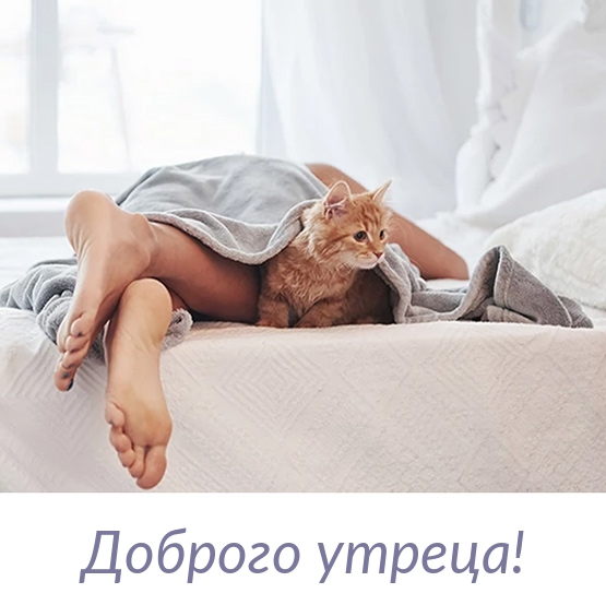 Доброго утреца!