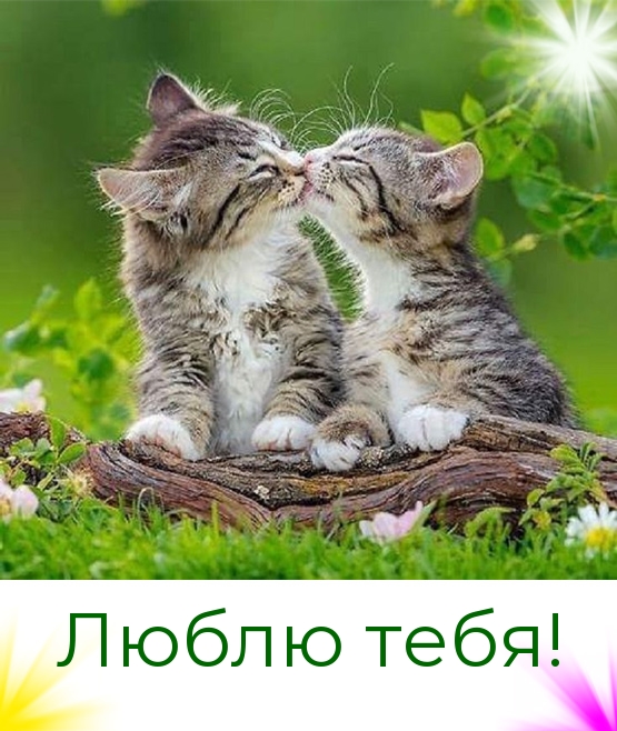 Люблю тебя!