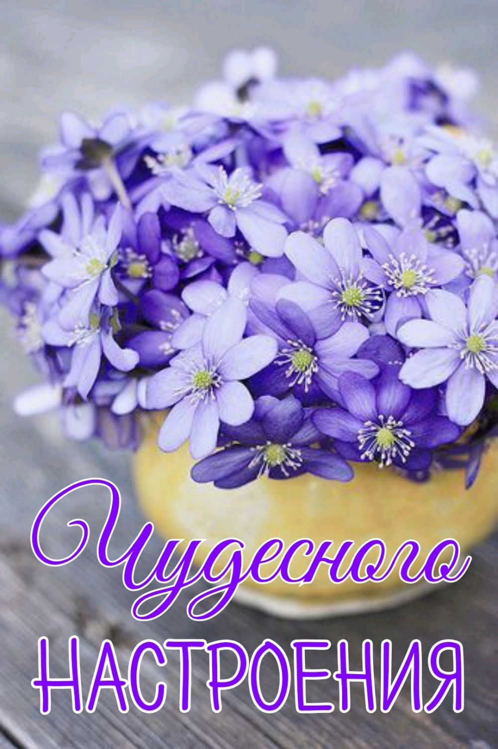 Чудесного настроения