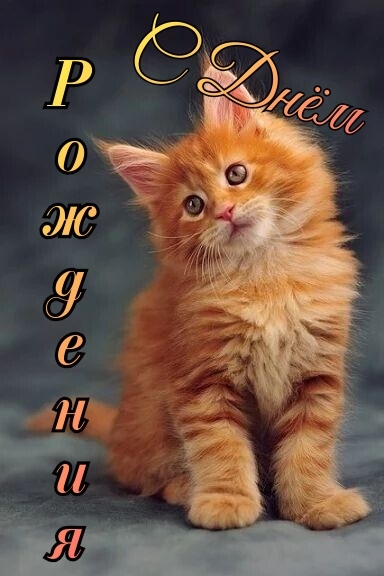 С Днём Рождения