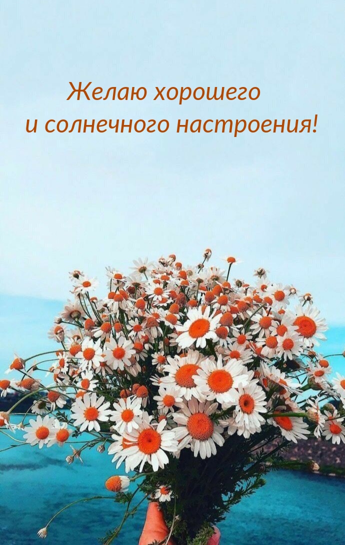 Картинки с надписями.  Желаю хорошего и солнечного настроения!.
