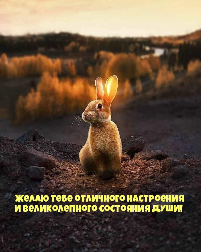 Картинки с надписями.  Желаю тебе отличного настроения .