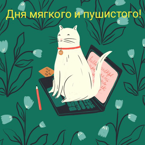 Дня мягкого и пушистого!