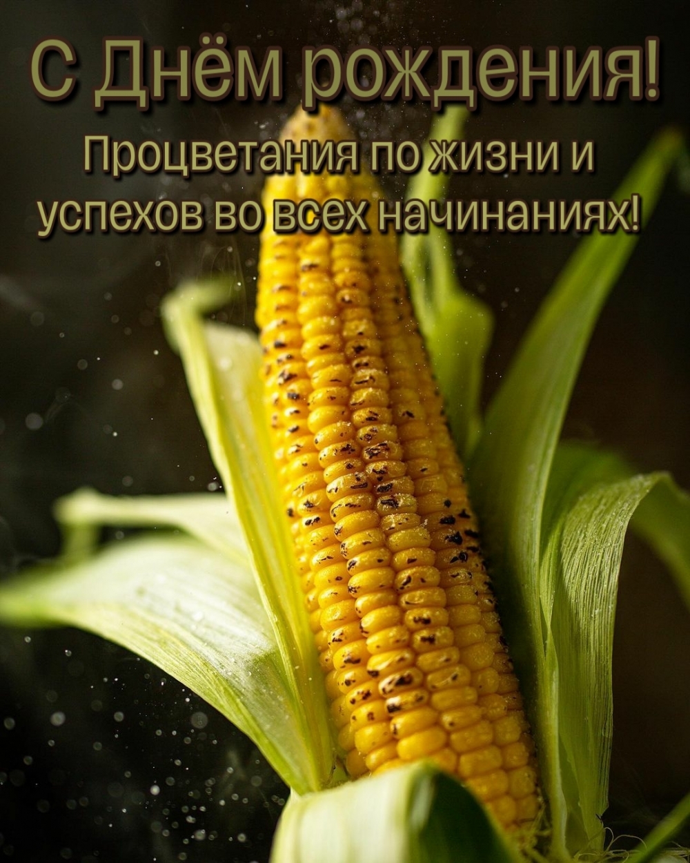 Процветания по жизни и успехов во всех начинаниях!