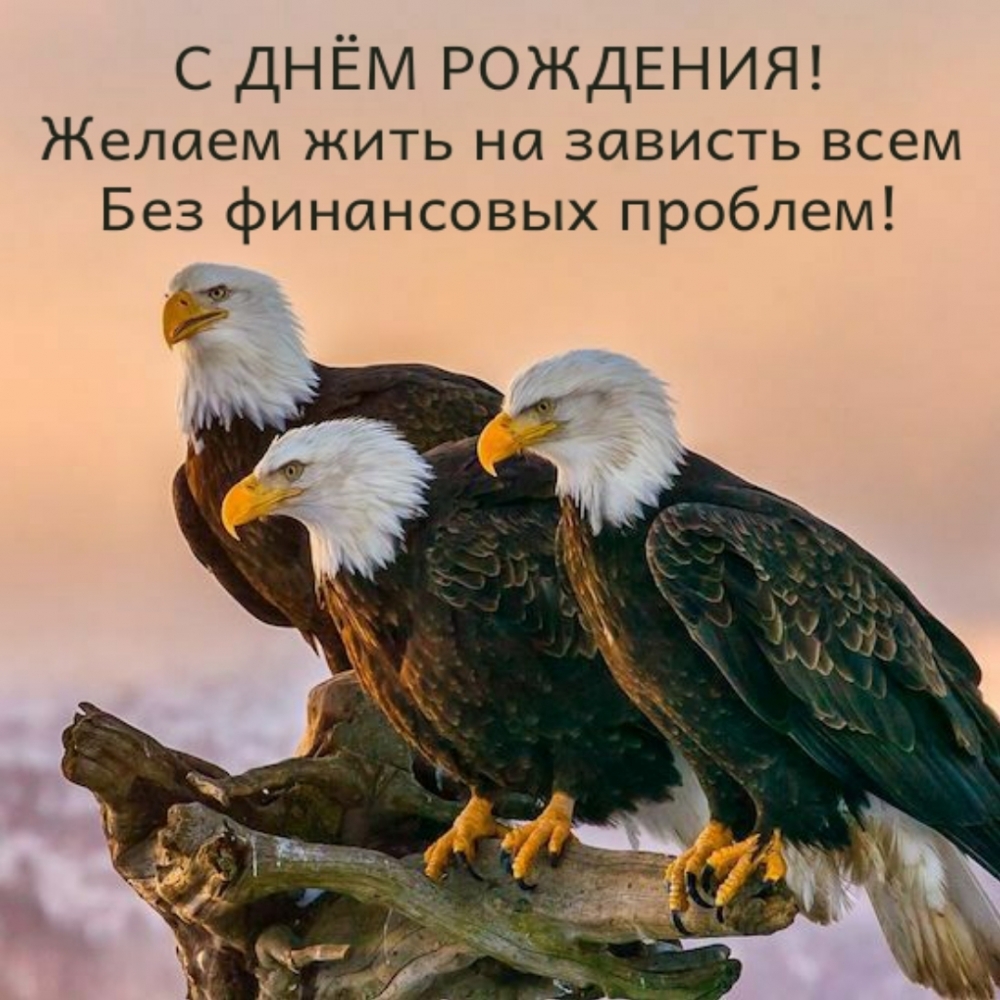 Орлы в день рождения желают жить на завить всем