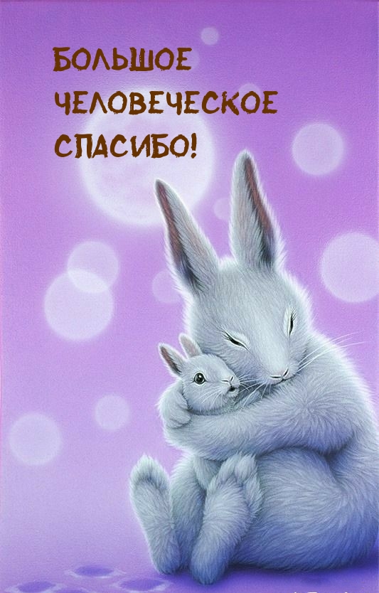 Большое человеческое спасибо!