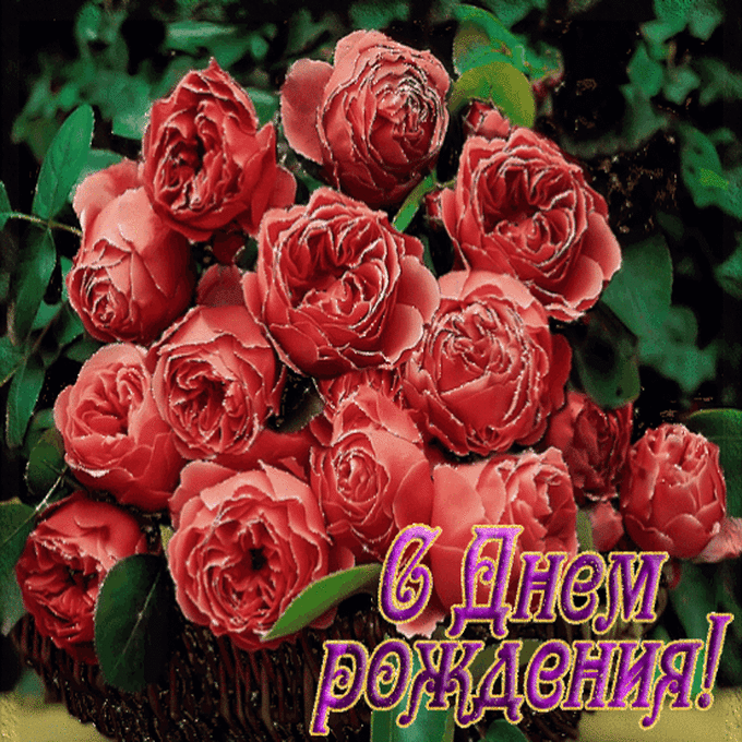 С днем рождения