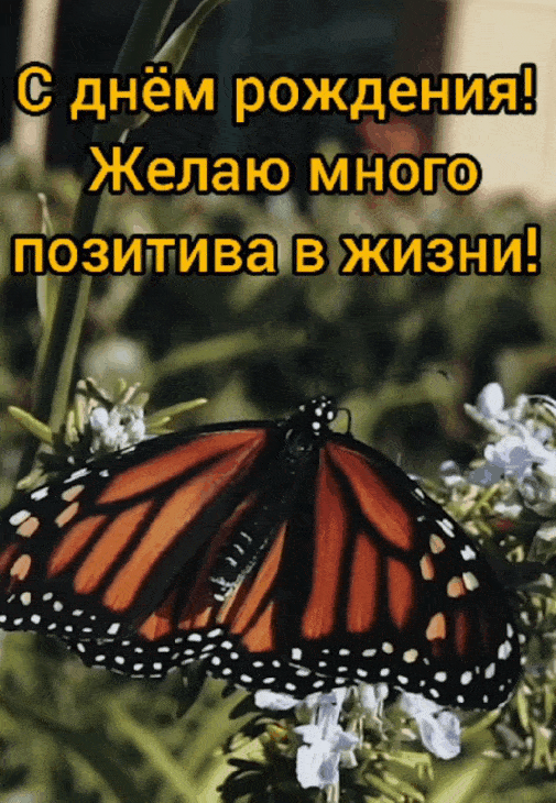 Желаю много позитива в жизни!