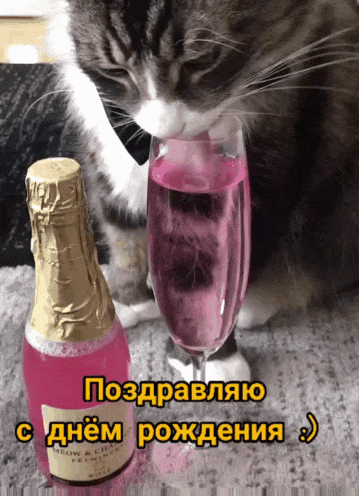 Поздравляю с днём рождения :)