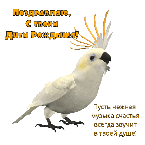 С Днем Рождения!