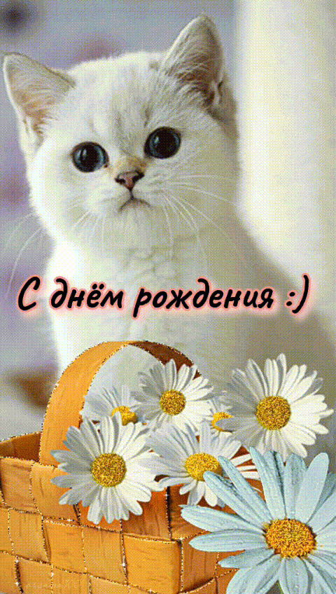 С днём рождения :)