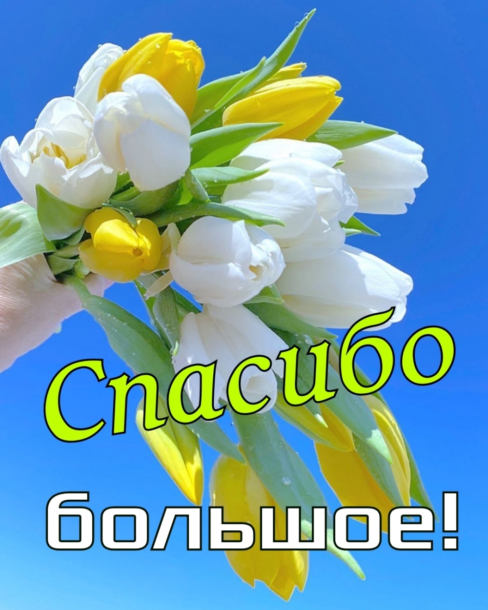 Спасибо большое!
