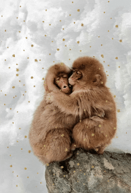 С днем рождения, обнимаю