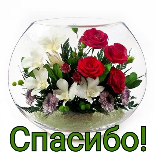 Спасибо!