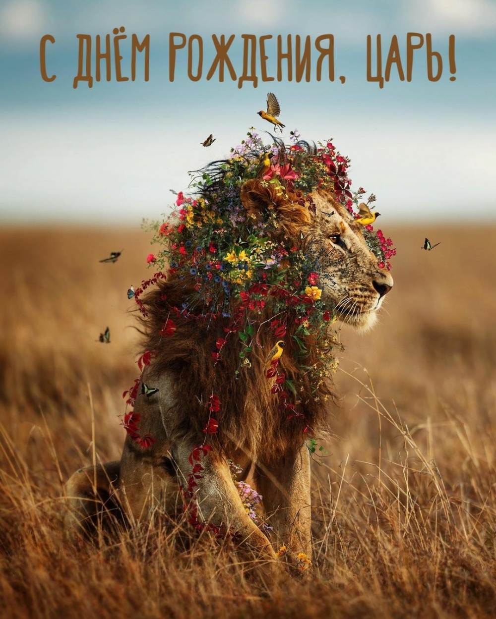 С днём рождения, царь!