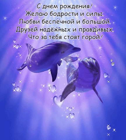 Два дельфина на день рождения