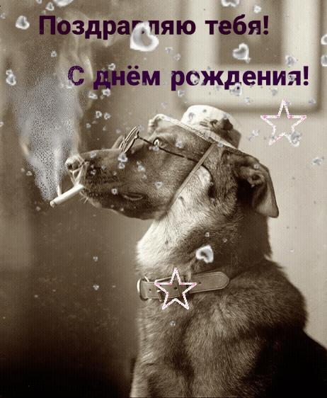 Поздравляю тебя! С днем рождения!