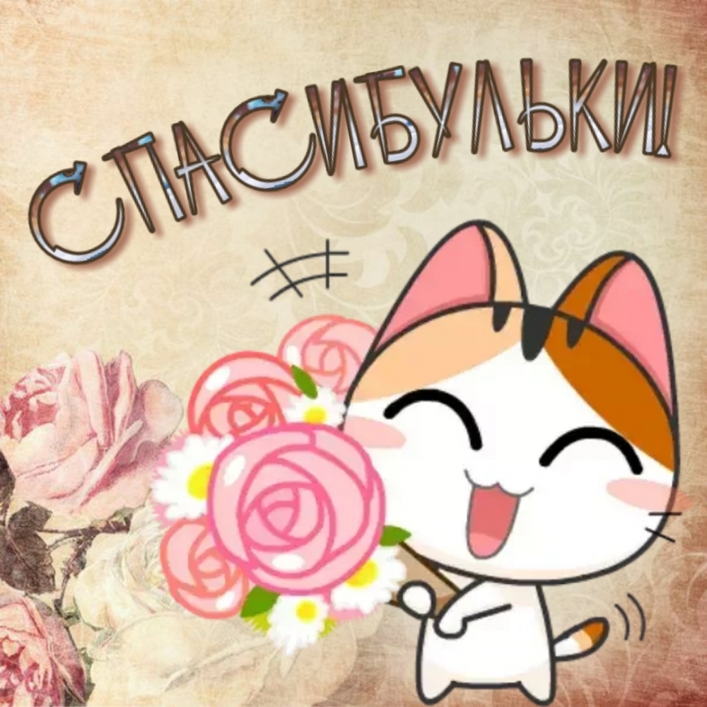 Спасибульки!