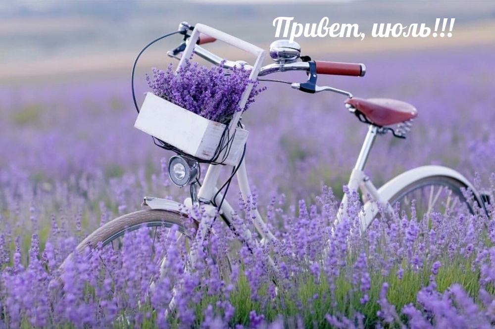 Привет, июль!