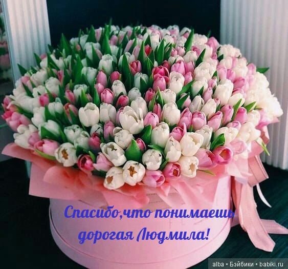 Спасибо, что понимаешь дорогая Людмила!