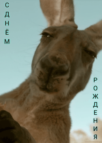 С днем рождения