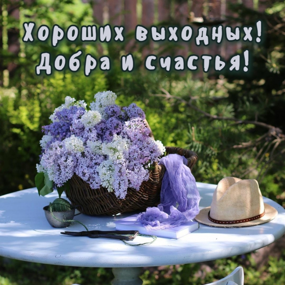 Хороших выходных! Добра и счастья!