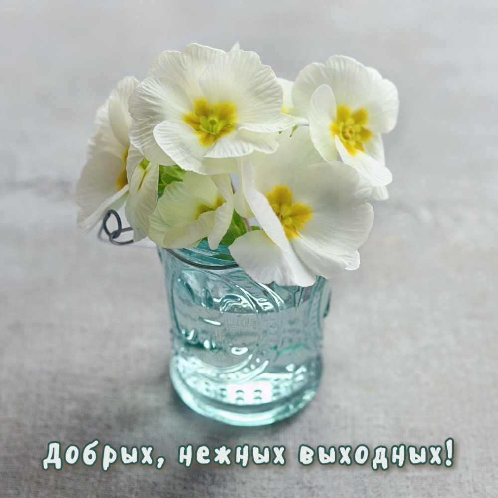 Добрых, нежных выходных!