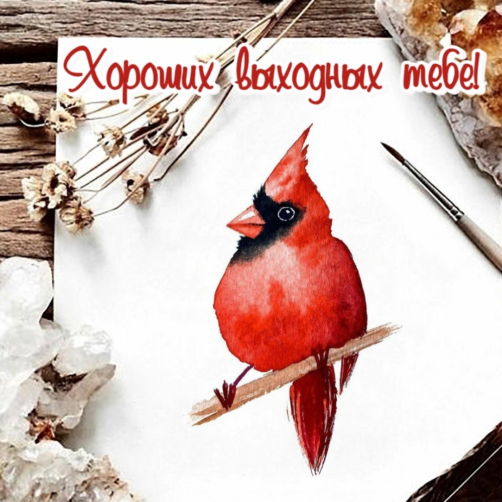 Хороших выходных тебе!