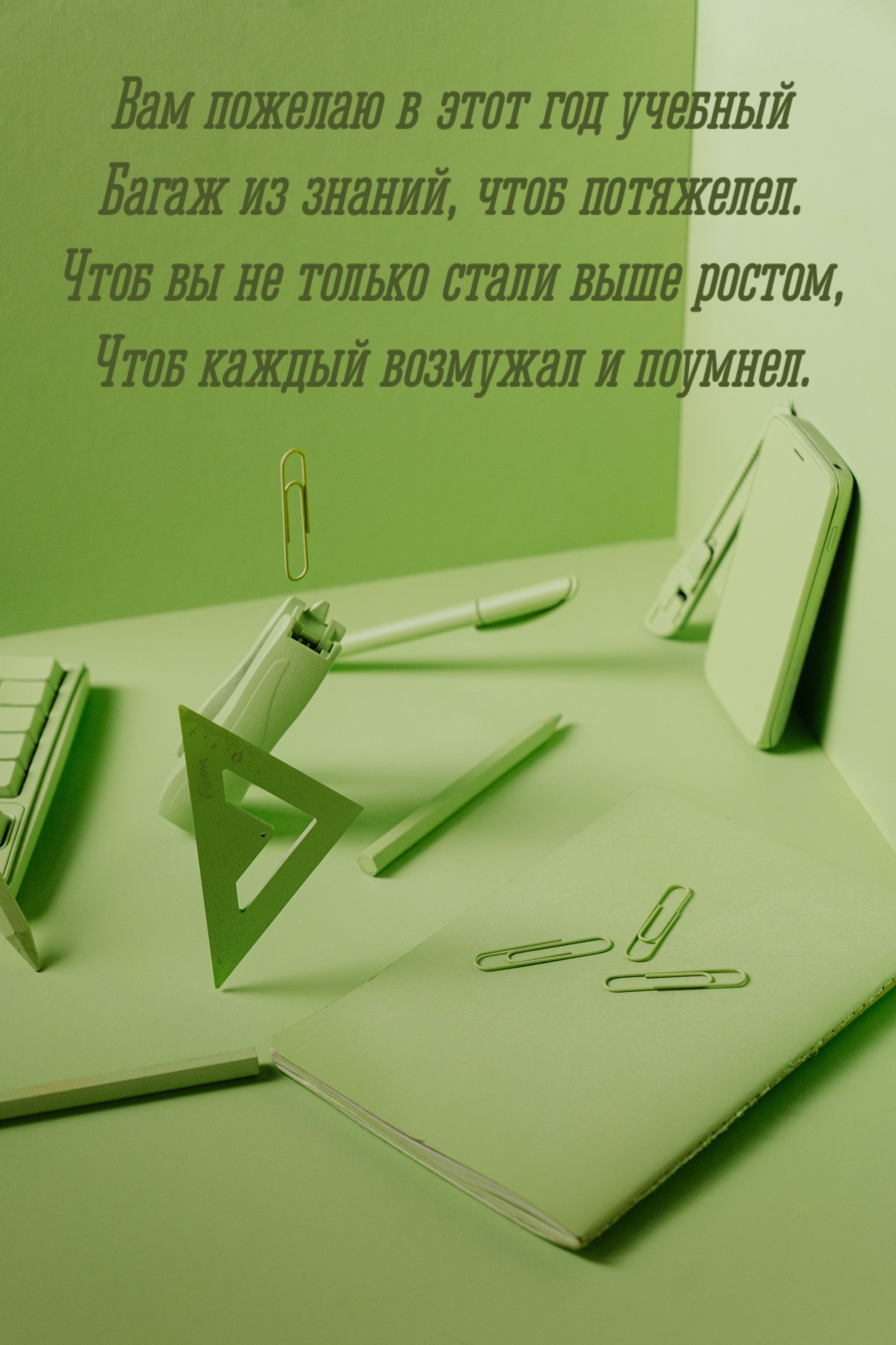 Вам пожелаю в этот год учебный багаж из знаний, чтоб потяжелел