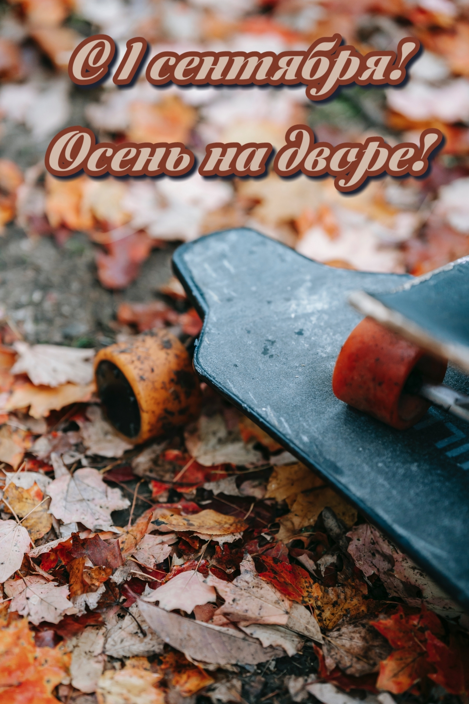 С 1 сентября! Осень на дворе!