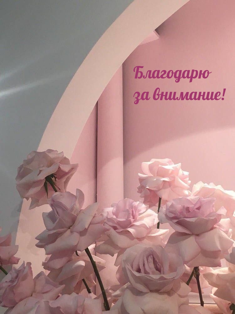 Благодарю за внимание!