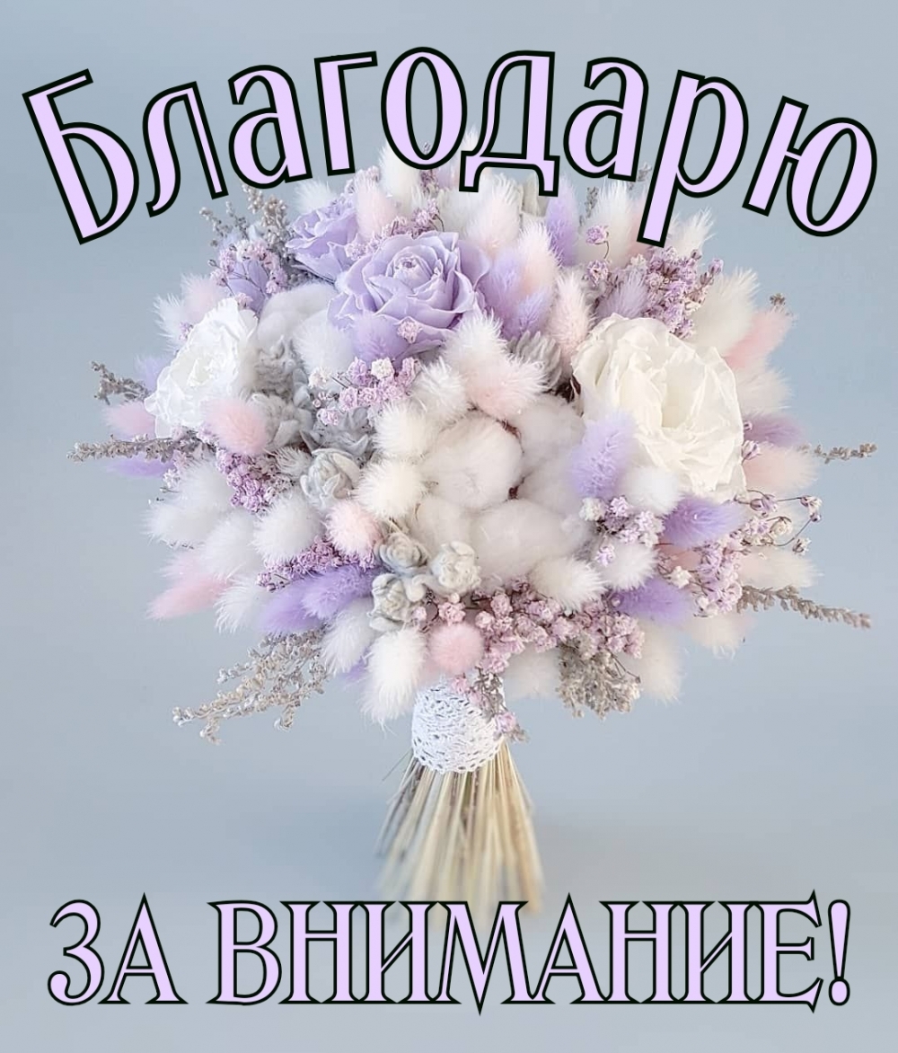 Благодарю за внимание!