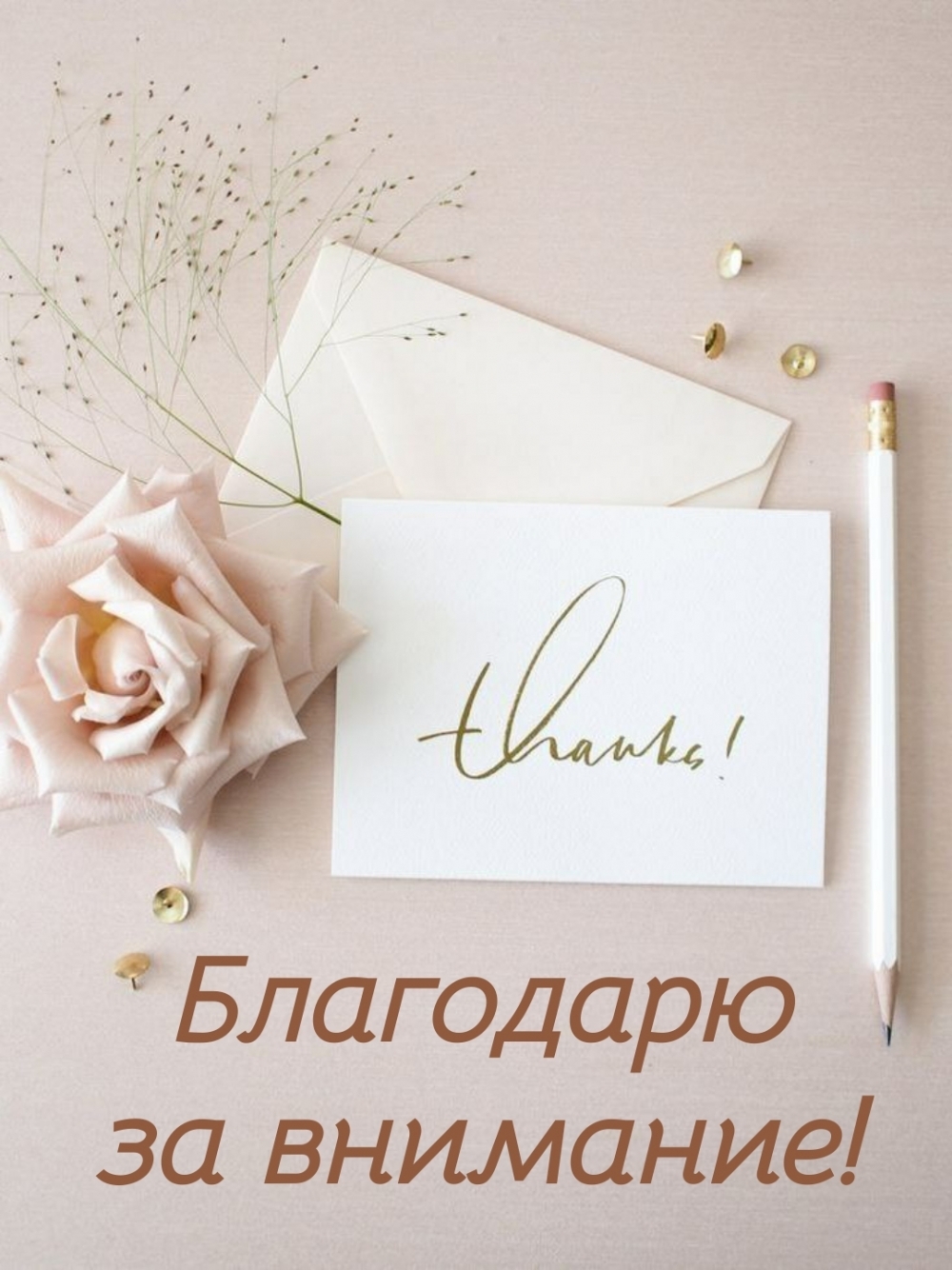 Благодарю за внимание!
