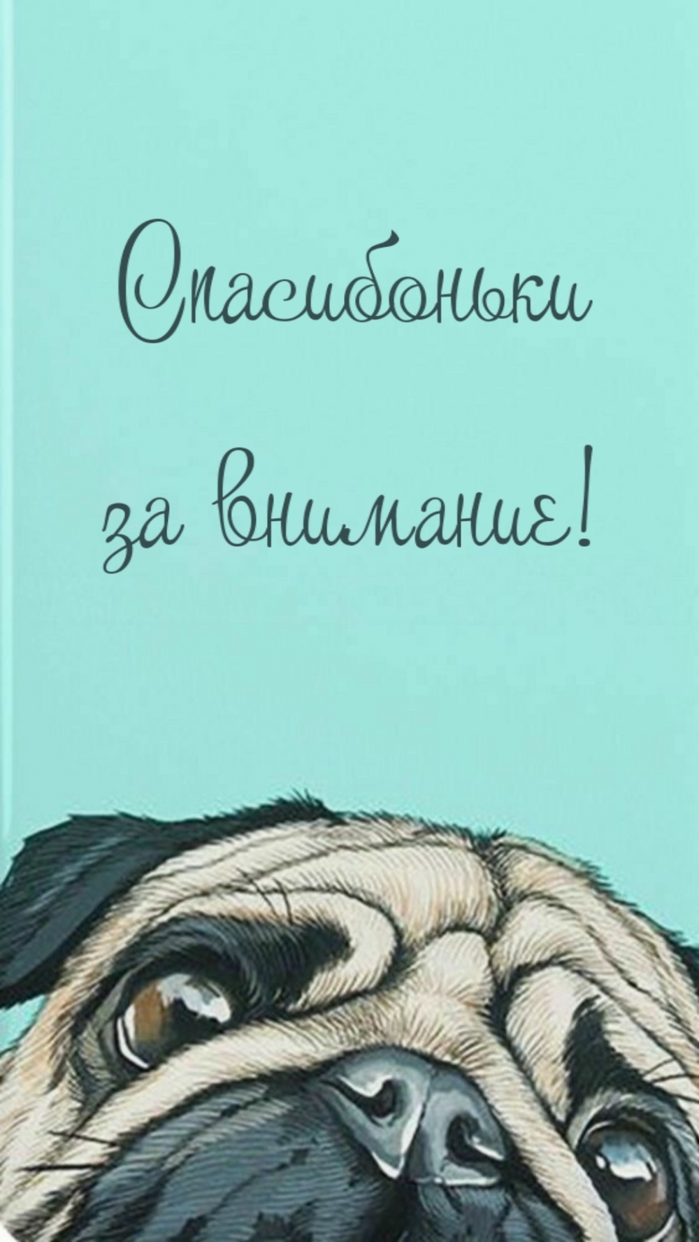 Спасибоньки за внимание!