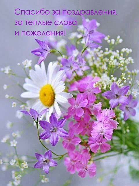 Спасибо за поздравления, за теплые слова и пожелания!