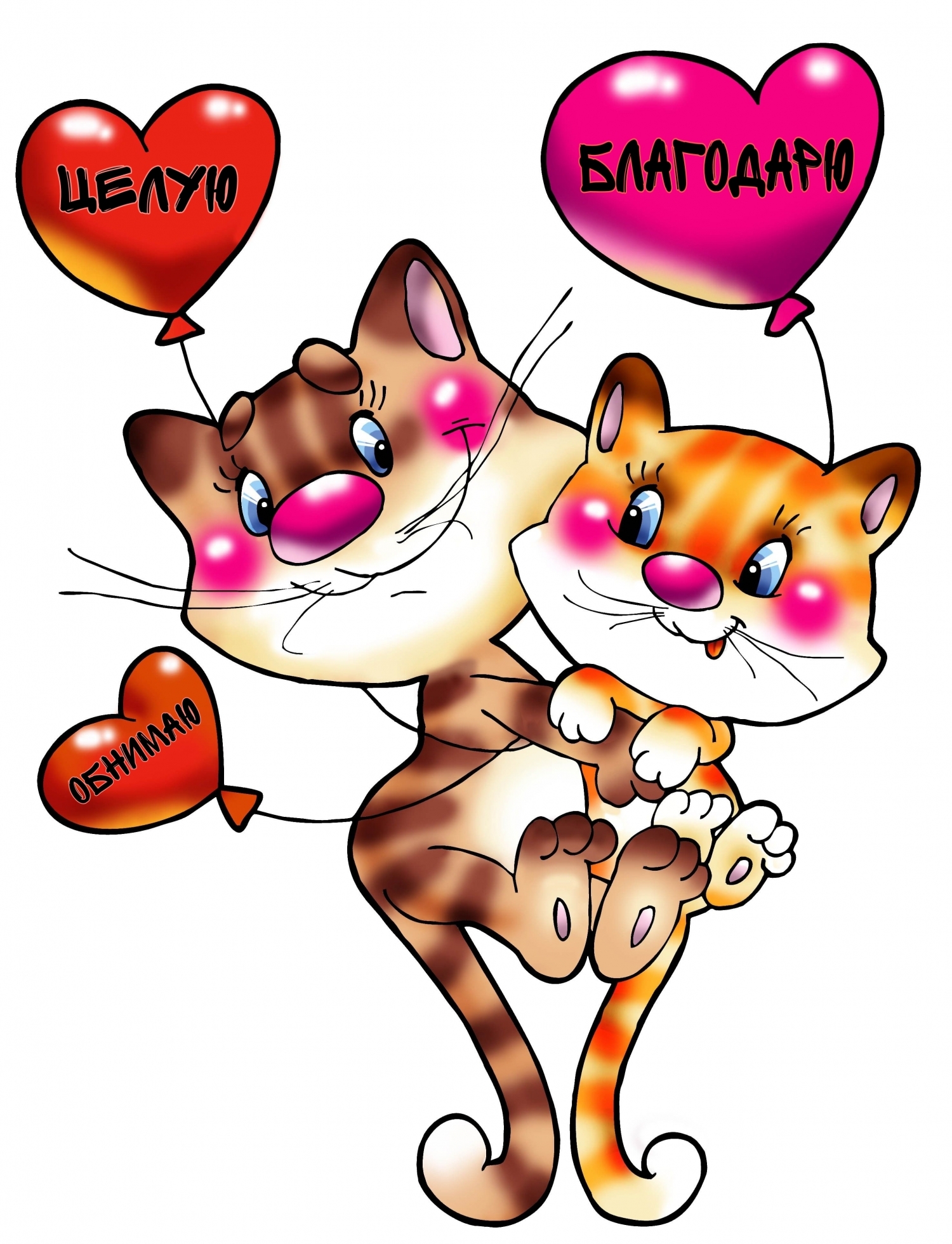 Благодарю целую обнимаю