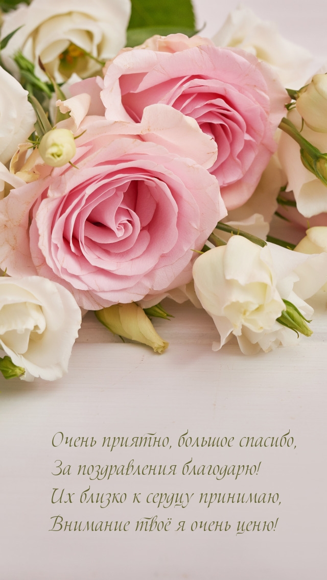 Очень приятно, большое спасибо