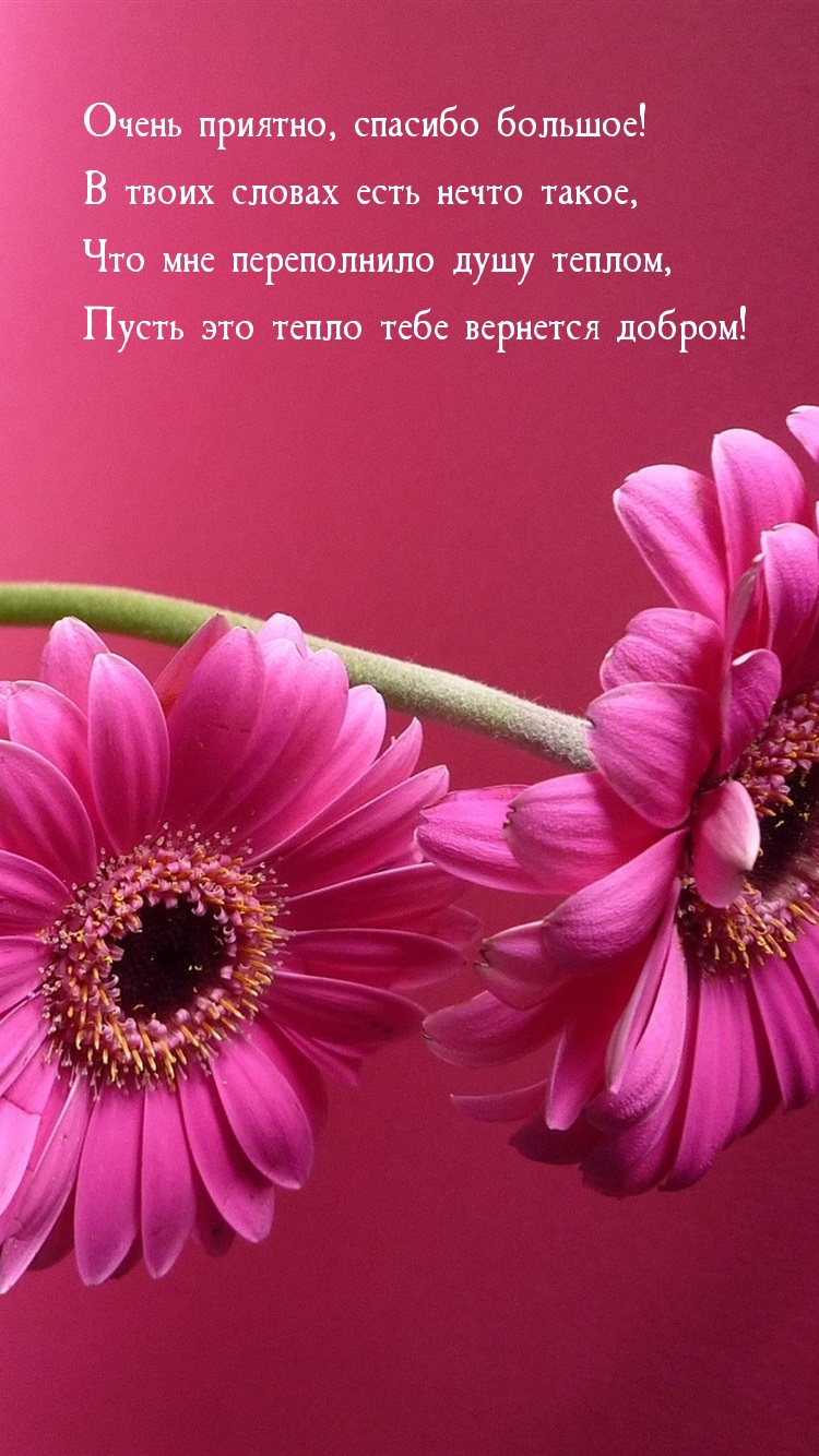 Очень приятно, спасибо большое!