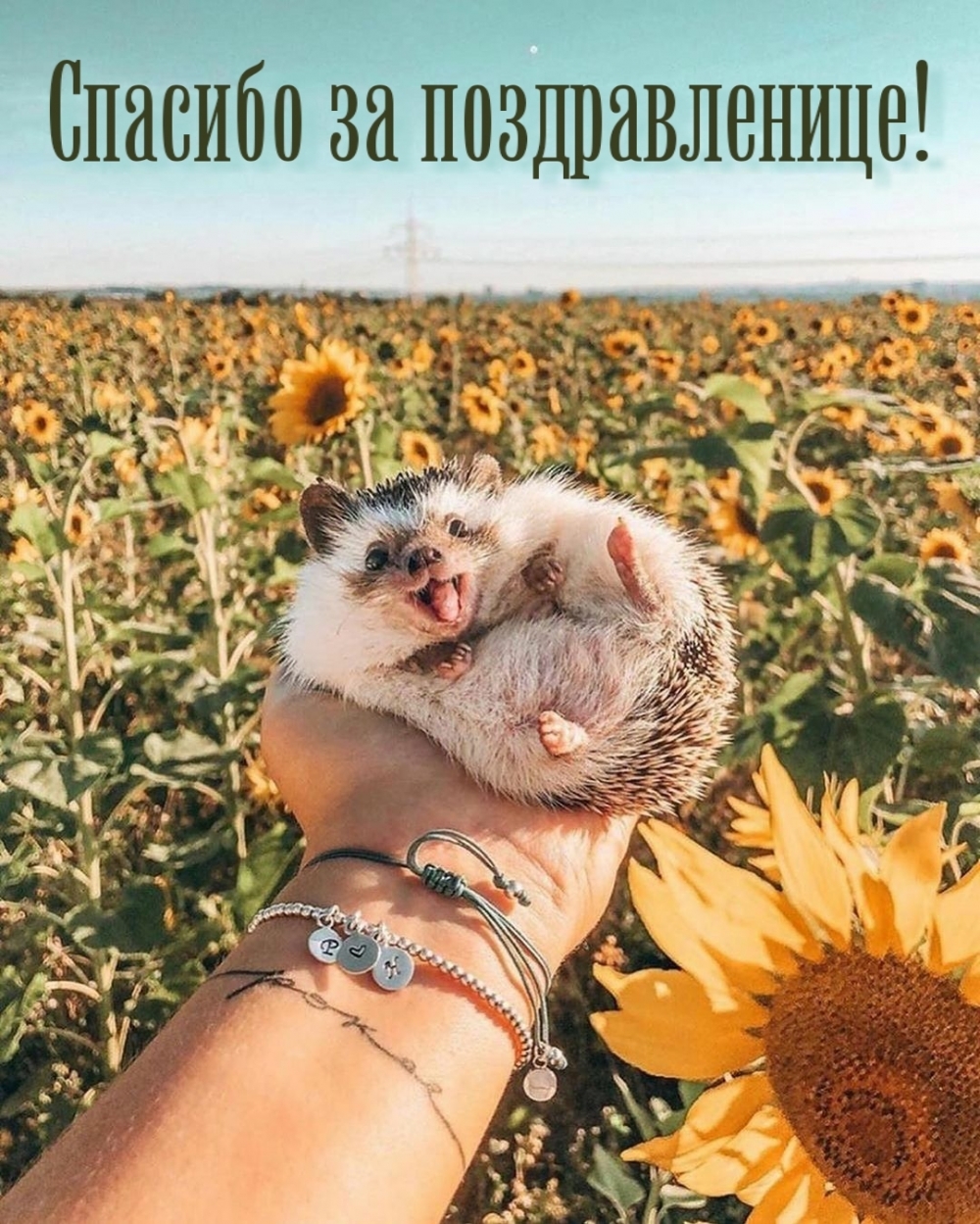 Спасибо за поздравленице!