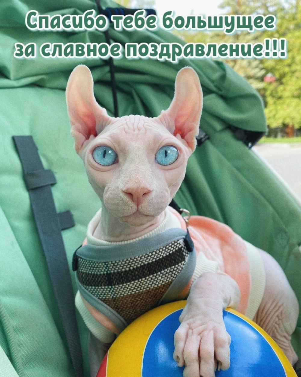Спасибо тебе большущее за славное поздравление!