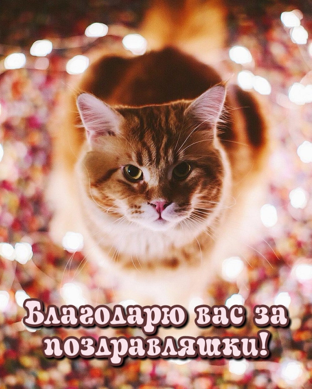Благодарю вас за поздравляшки!