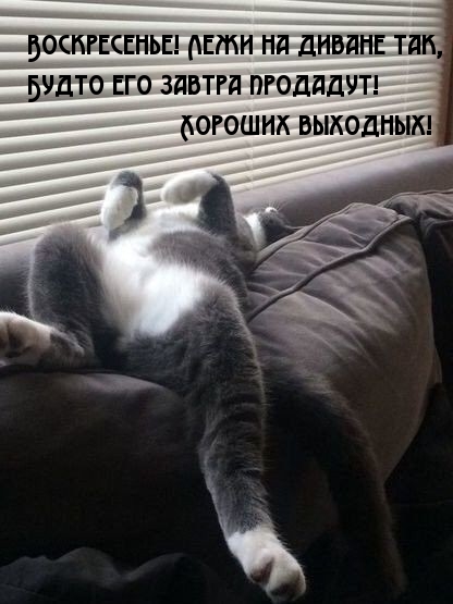 Хороших выходных!