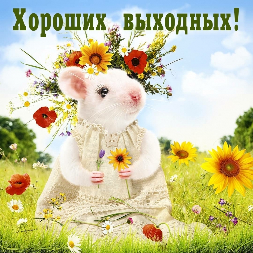 Хороших выходных!