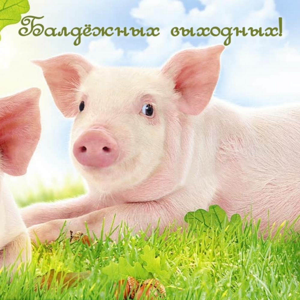 Балдёжных выходных!